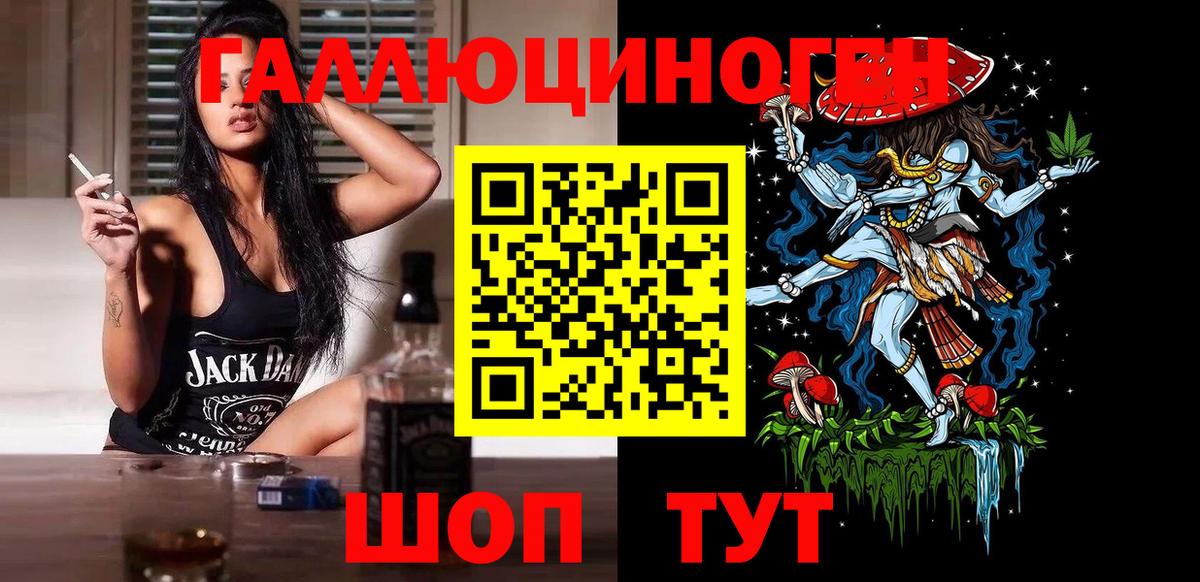 Галлюциногенные грибы Psilocybine cubensis Гатчина